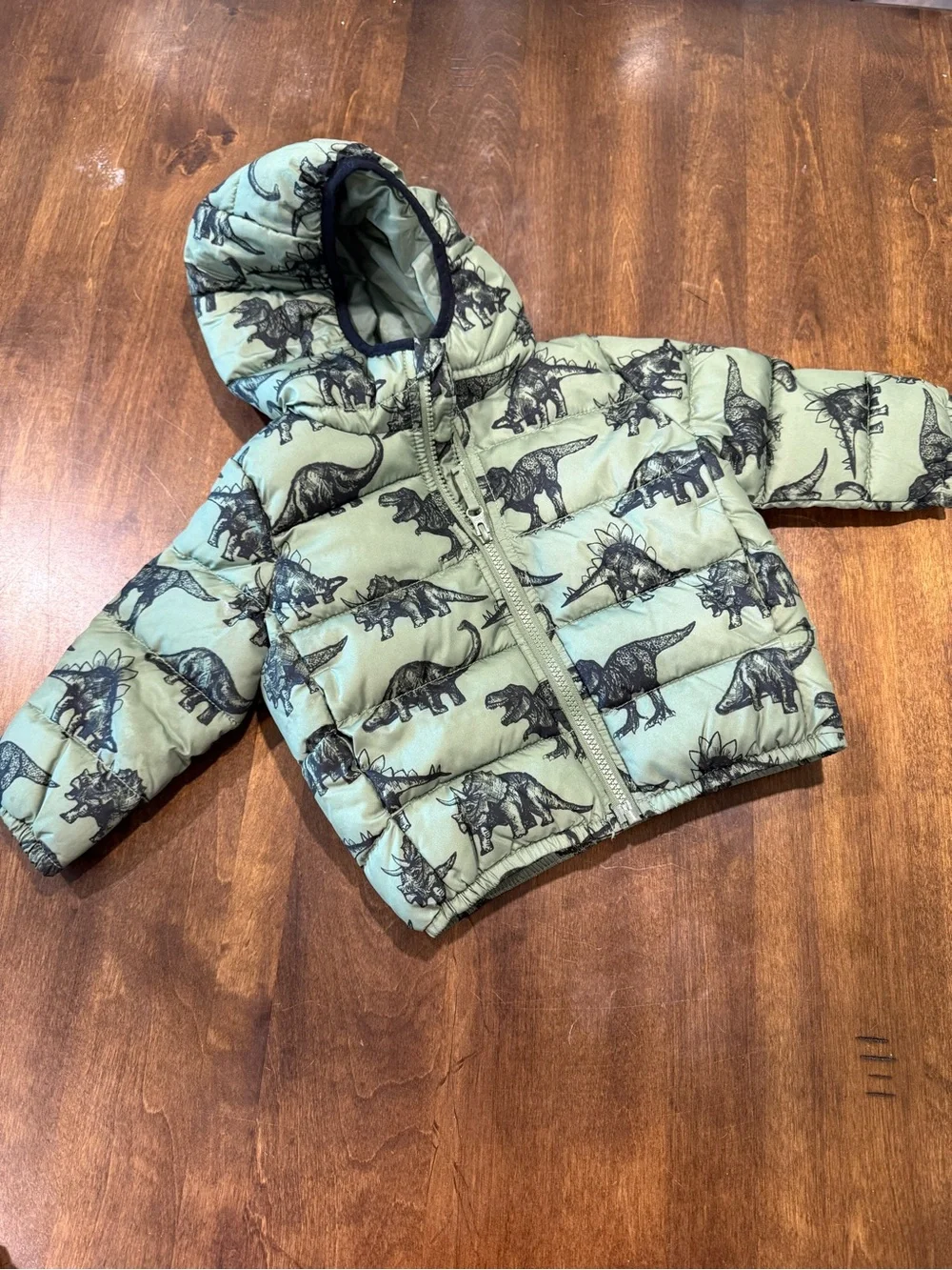 The Children's Place Olive Green Dinosaur Puffer Jacket with Hood